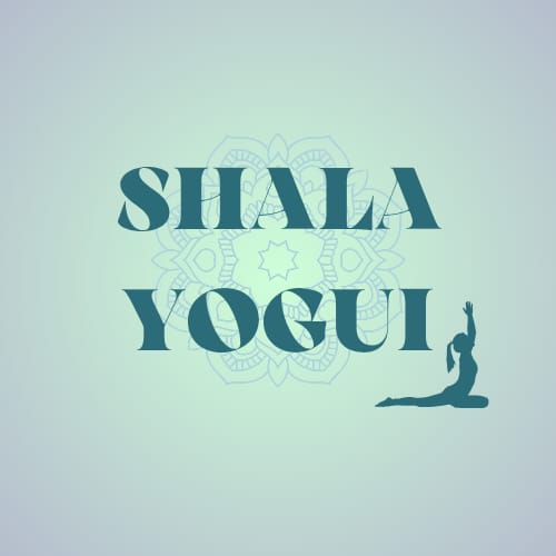 WhatsApp Image 2025-11-03 at 17.02.29